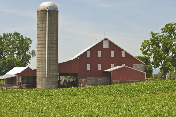 barn and silo (002)